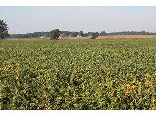 Property photo 43 - ILLINOIS LAND AUCTION - 705+/- ACRES OFFERED IN 16 TRACTS IN EDWARDS COUNTY, ILLINOIS